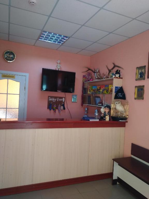 TV a/nebo společenská místnost v ubytování У Поттера