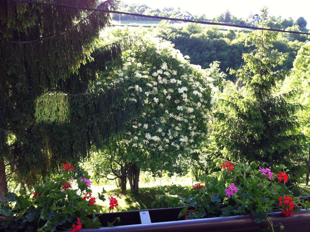 Apartments Renata - 17