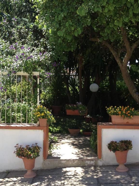Zahrada ubytování B&B Solacium