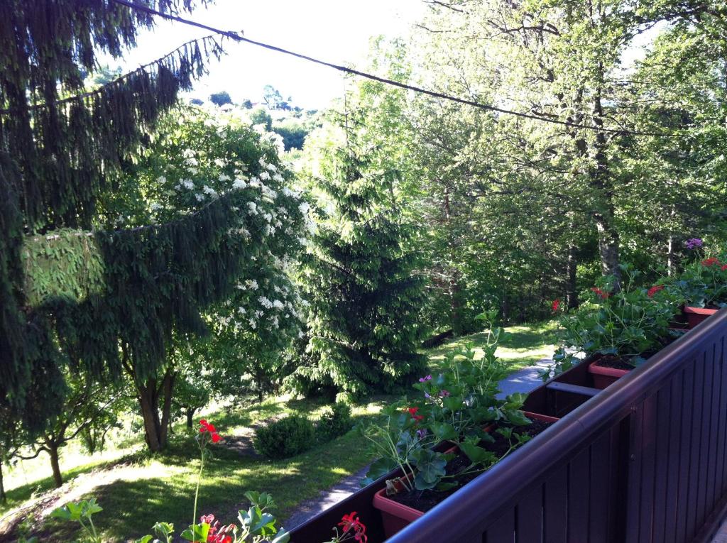 Apartments Renata - 19