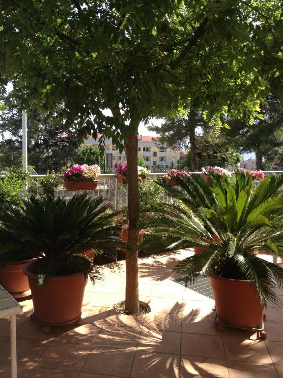 Zahrada ubytování B&B Solacium