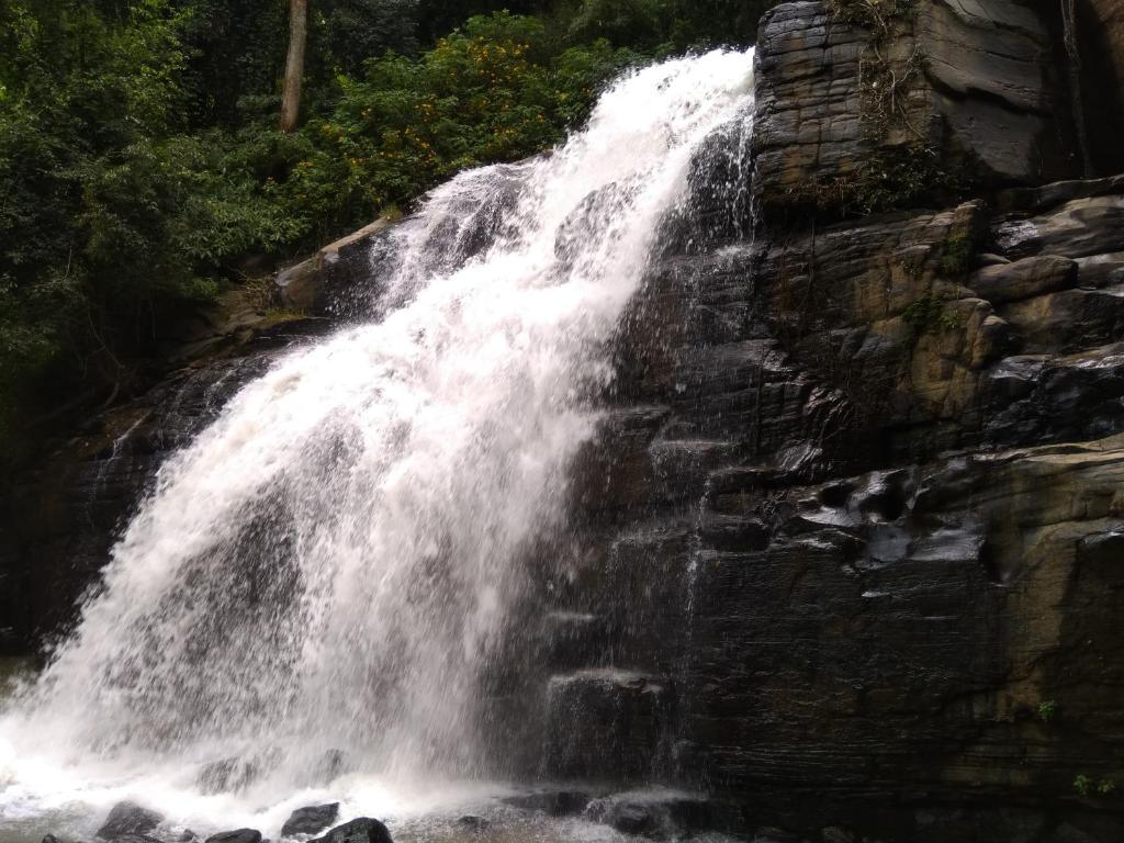 une cascade sur le côté d'une falaise rocheuse dans l'établissement River Forest Nest, à Ella