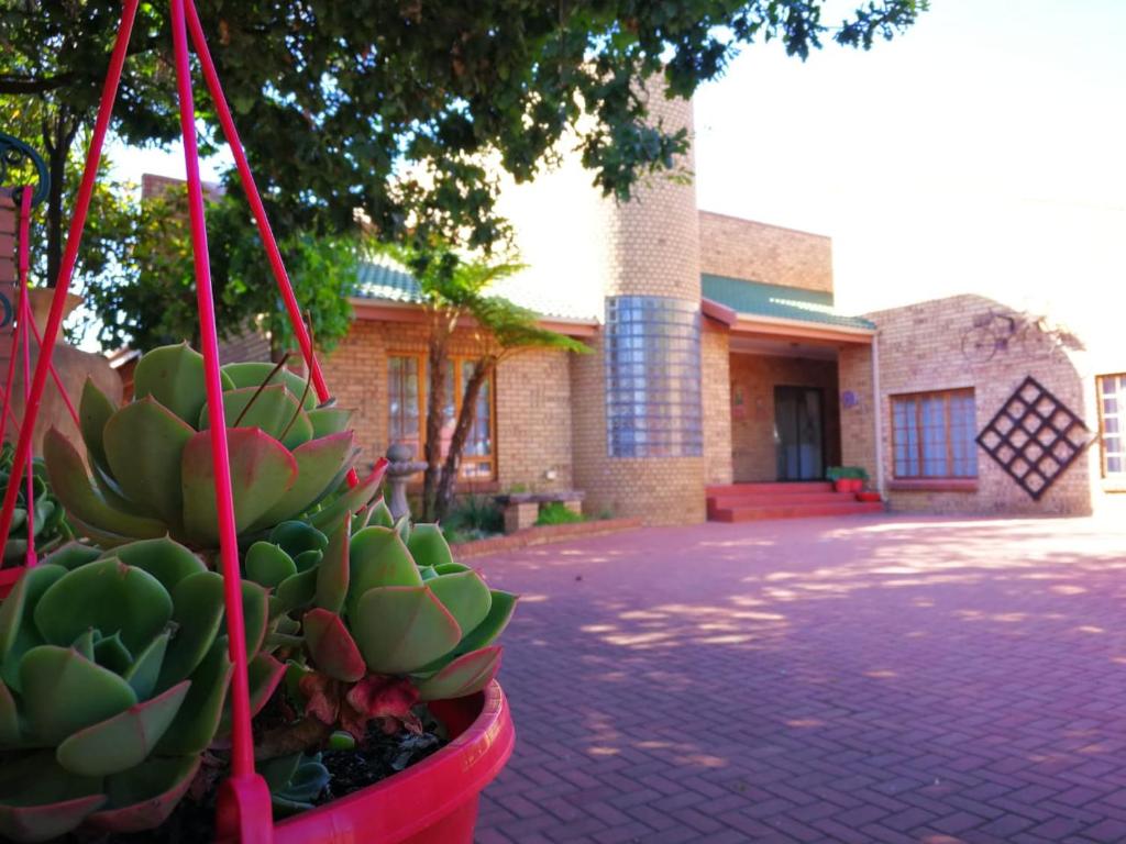 a plant in a red pot in front of a building at Ridderspoor Guesthouse in Middelburg