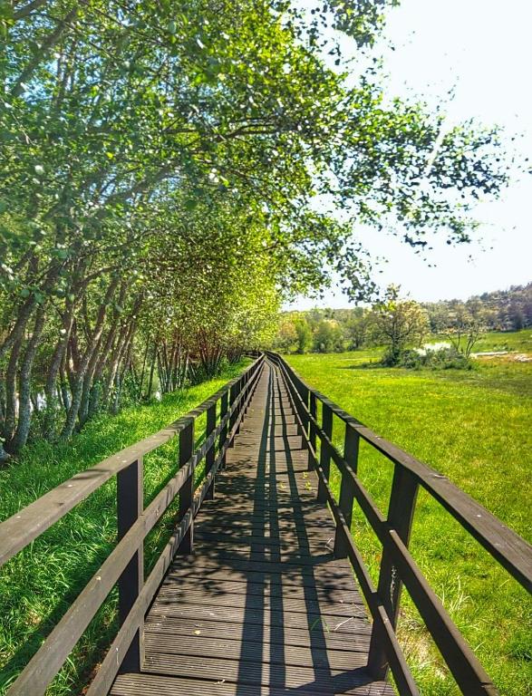 Paisagem natural perto do alojamento de turismo selvagem