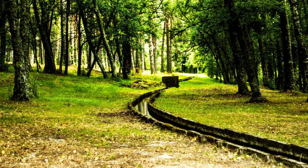 Paisagem natural perto do alojamento de turismo selvagem