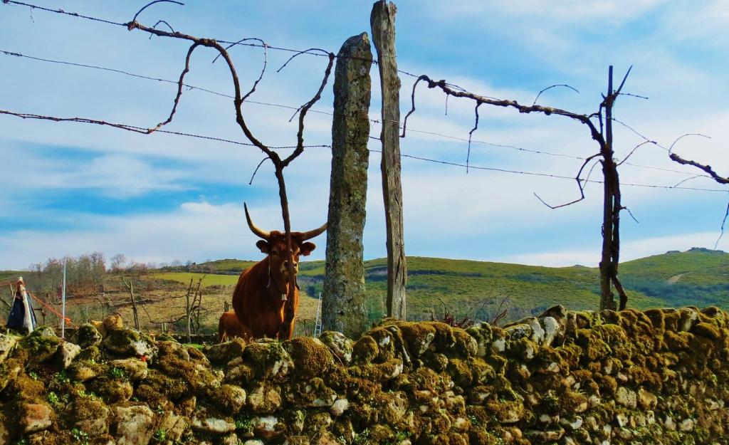 Paisagem natural perto do alojamento de turismo selvagem