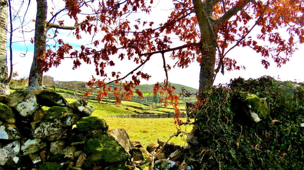 Paisagem natural perto do alojamento de turismo selvagem