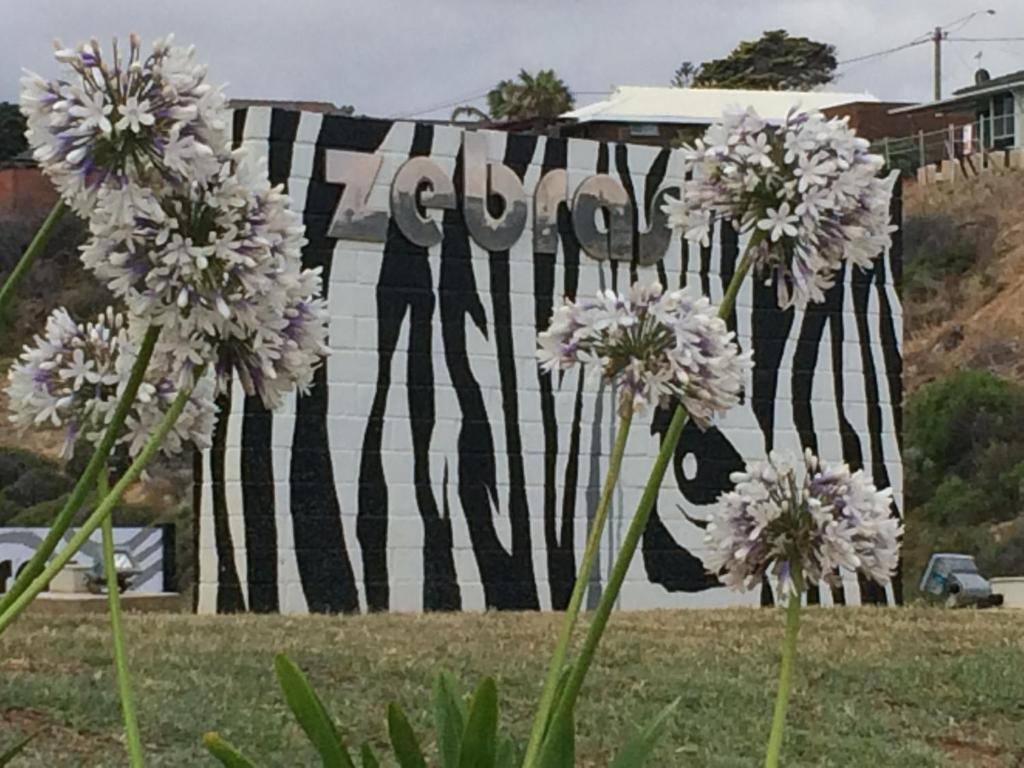 a painting of a group of animals on a fence at Zebras Guesthouse in Geraldton