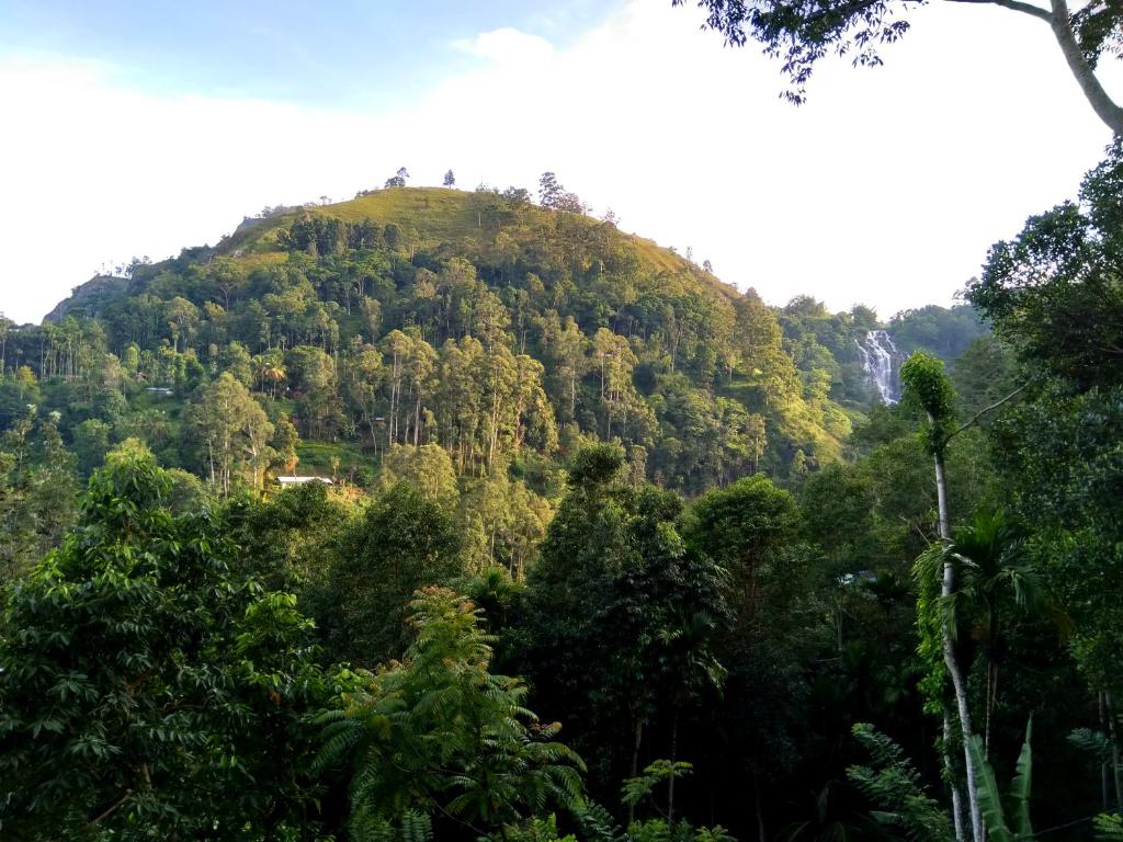 Ever Green Mount - 13