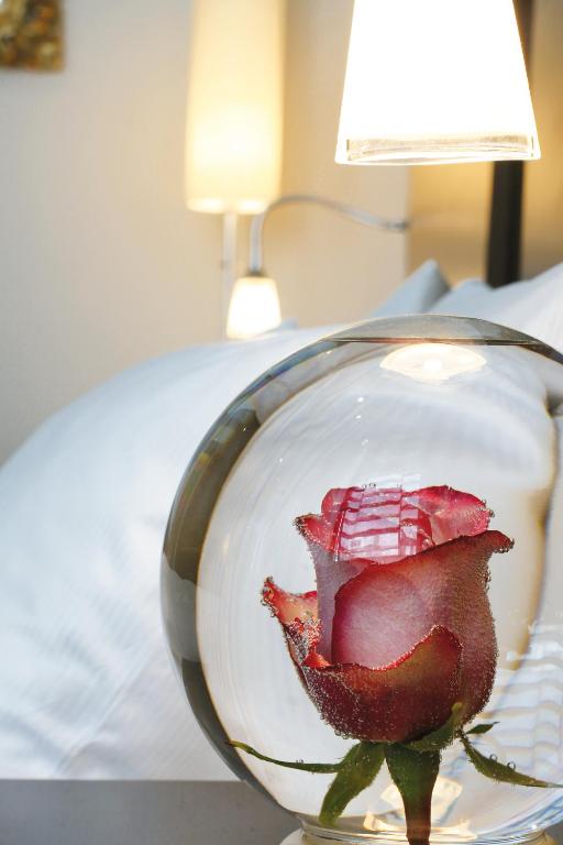 Schiller 5 Hotel - Resim 15