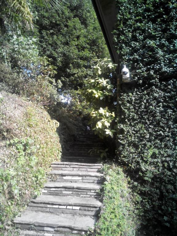 a stairway leading up to a set of stairs with bushes at B&B Le Ortensie -Lago di Como in Lierna