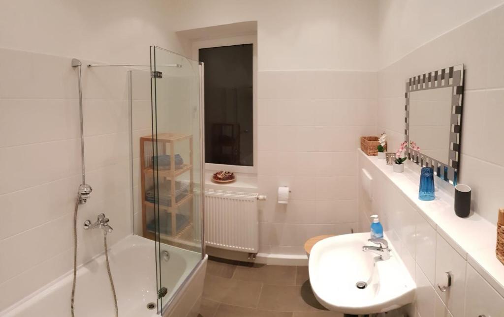 Ferienwohnung oder Studio Dresden-Neustadt inkl Parkplatz mit Balkon oder Terrasse - 17