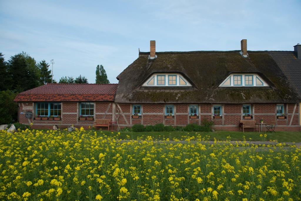 a house with a field of yellow flowers in front of it at Landhaus Maltzien auf Rügen in Maltzien