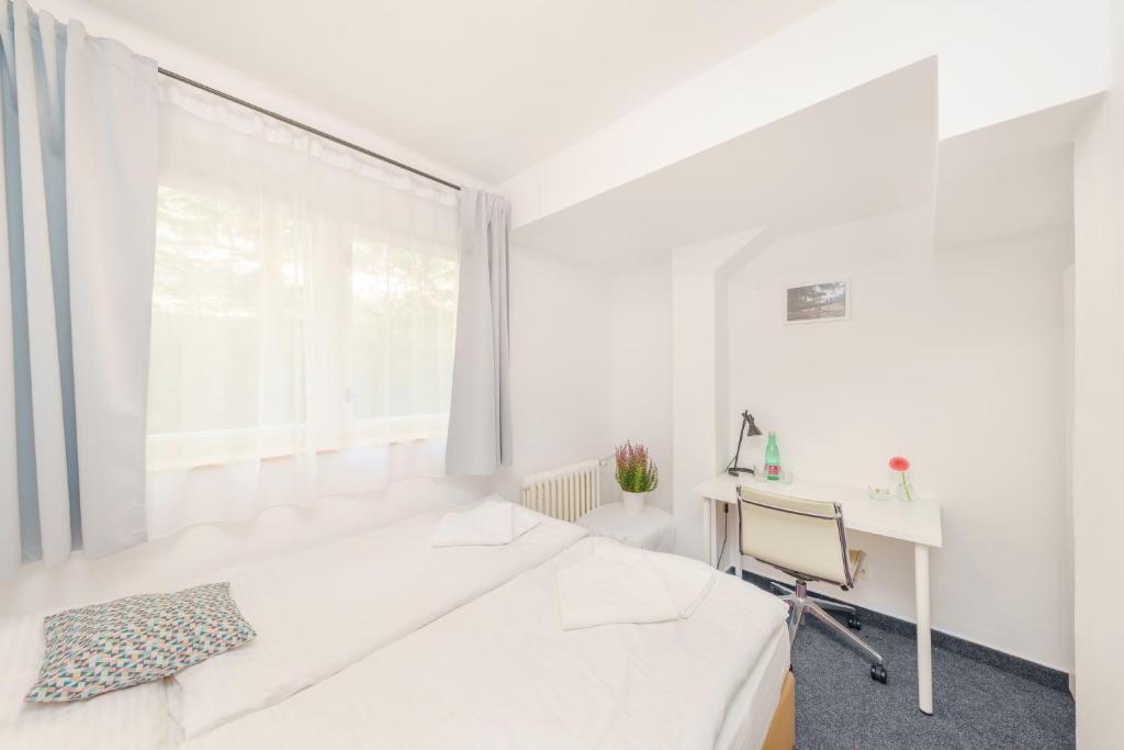 Hotel Horní Pramen - Budget Double Room