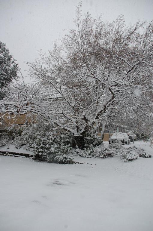 Queenstown Gateway Apartments - Resim 37