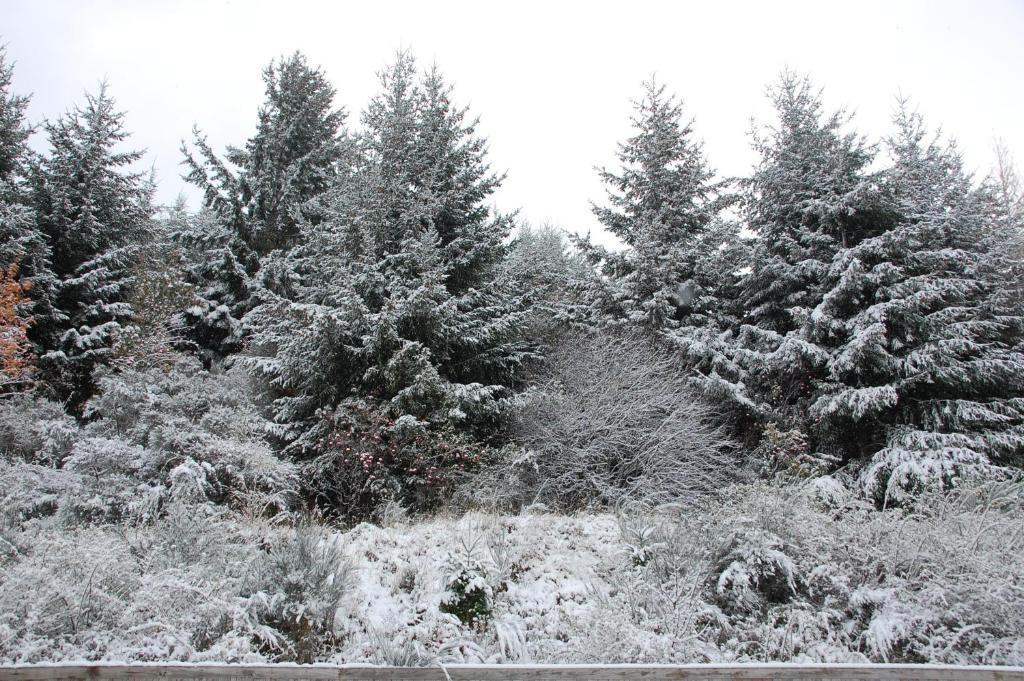 Queenstown Gateway Apartments - Resim 42