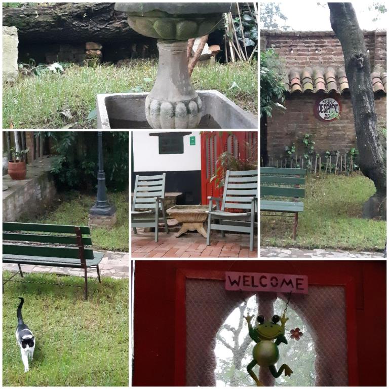 Zahrada ubytování Cedron Hostel