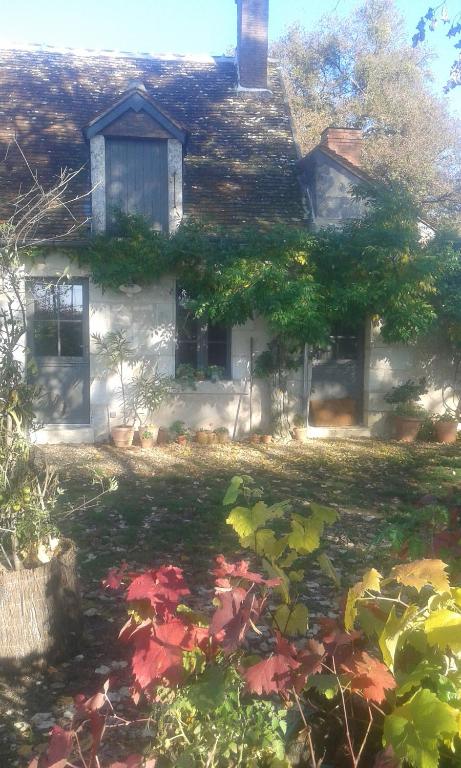 a house with a lot of leaves in front of it at la vigneraie in Seigy