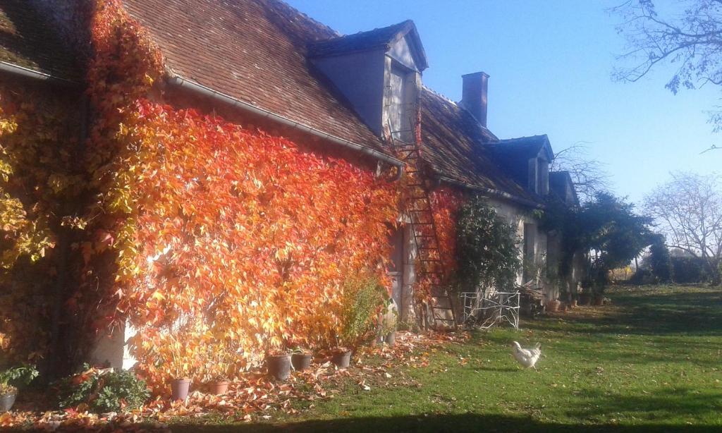 a building covered in autumn leaves next to a house at la vigneraie in Seigy
