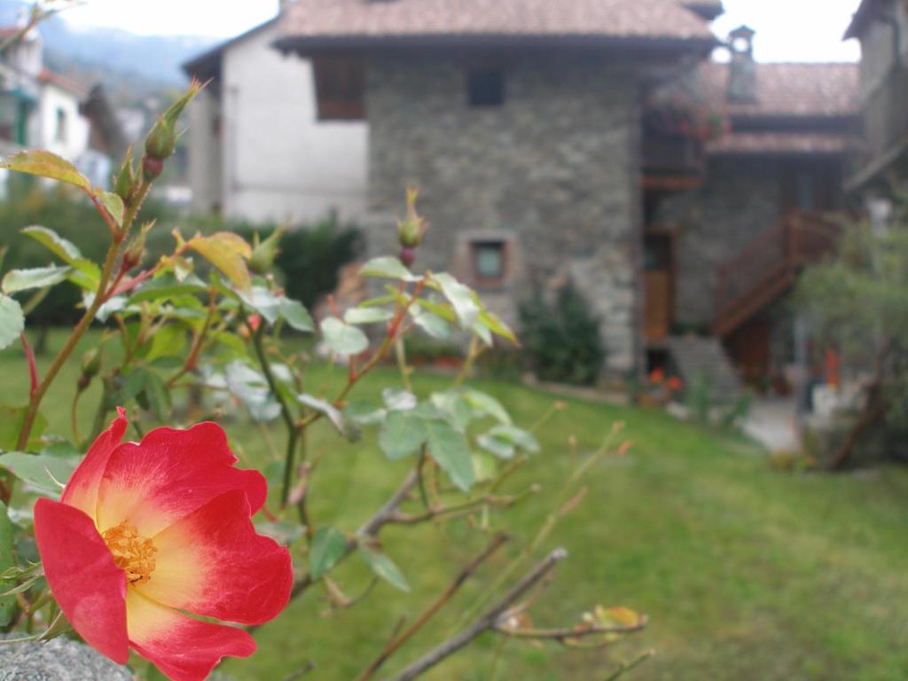 A garden outside Canton d'Antan