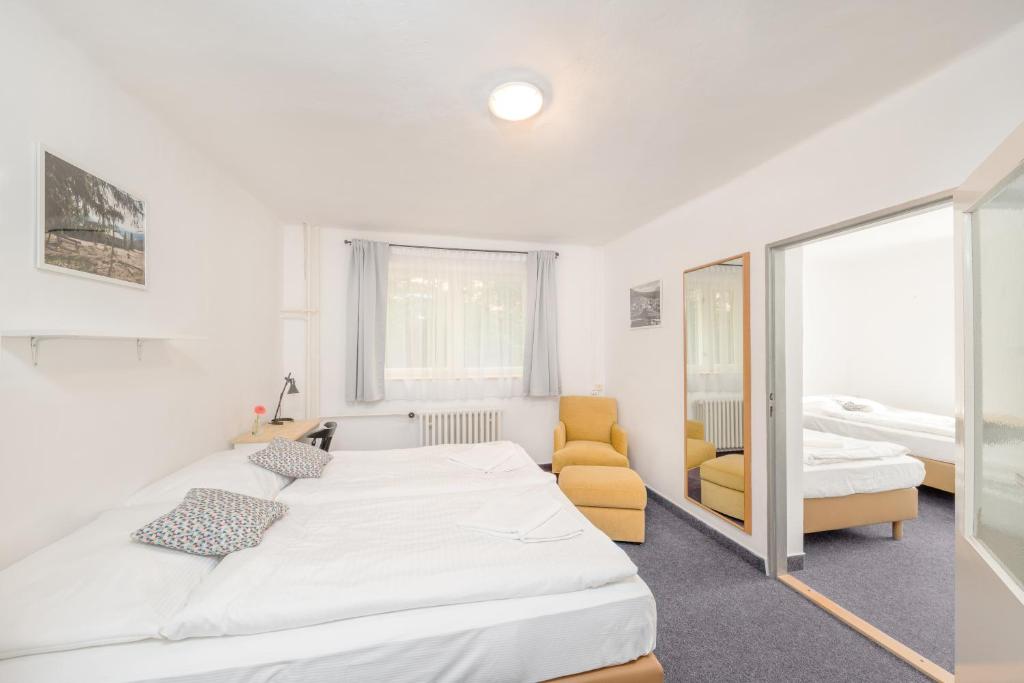 Hotel Horní Pramen - Suite De Famille Junior