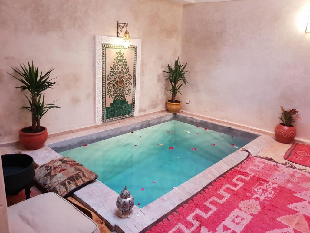 una piscina in una stanza con due piante in vaso di Dar Halima a Marrakech