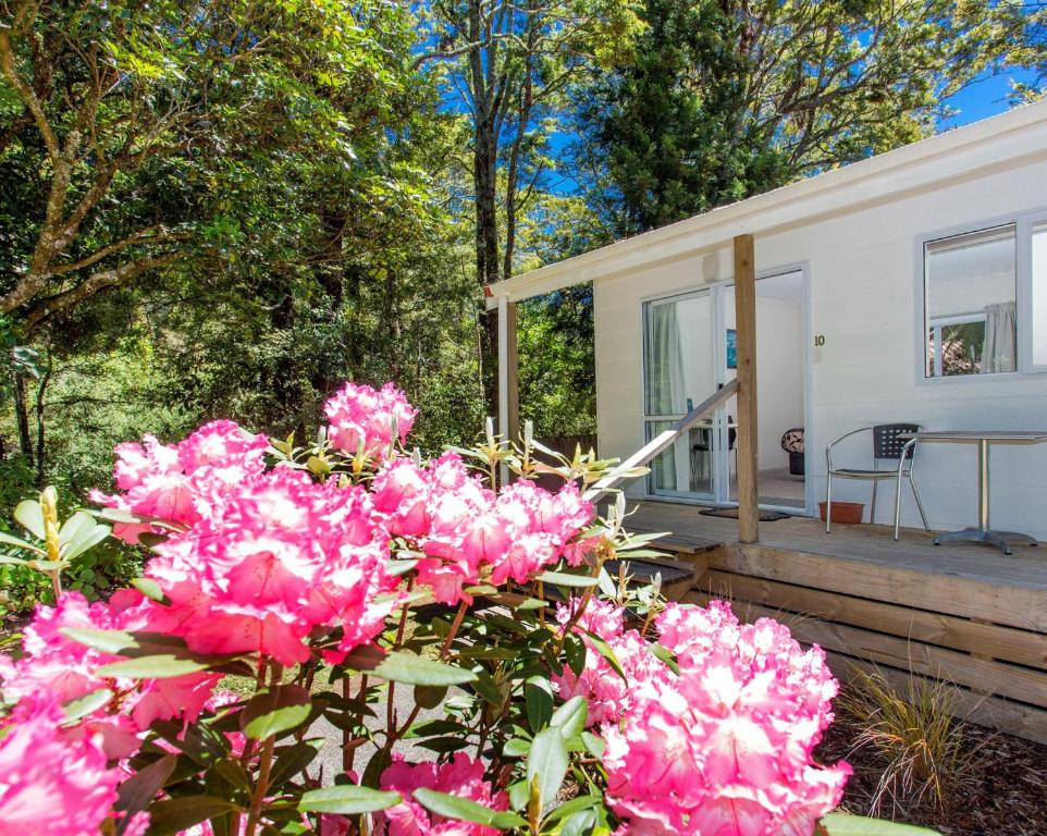 a bunch of pink flowers in front of a house at Ohakune TOP 10 Holiday Park in Ohakune