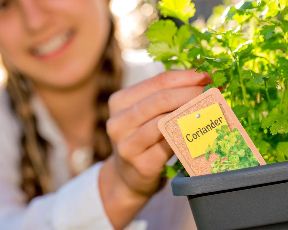 Ohakune TOP 10 Holiday Park - Resim 17