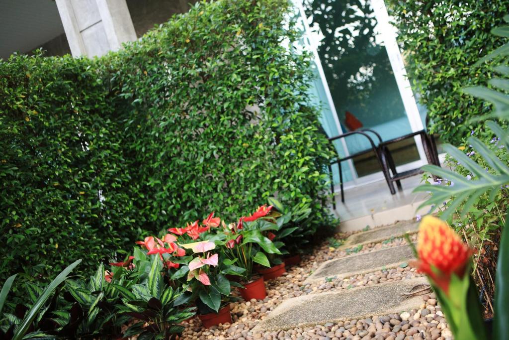 The Malika Hotel - SHA Extra Plus - Resim 15