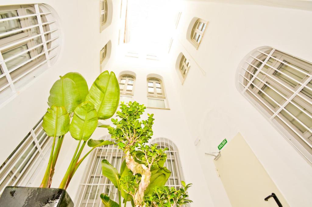 Vonkajšia záhrada v ubytovaní NineSuites