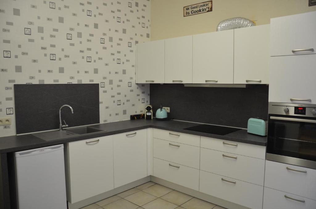 Kuchyň nebo kuchyňský kout v ubytování Apartment Sariks Place