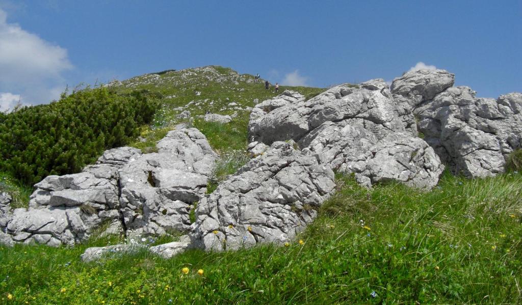 Príroda v okolí apartmánu