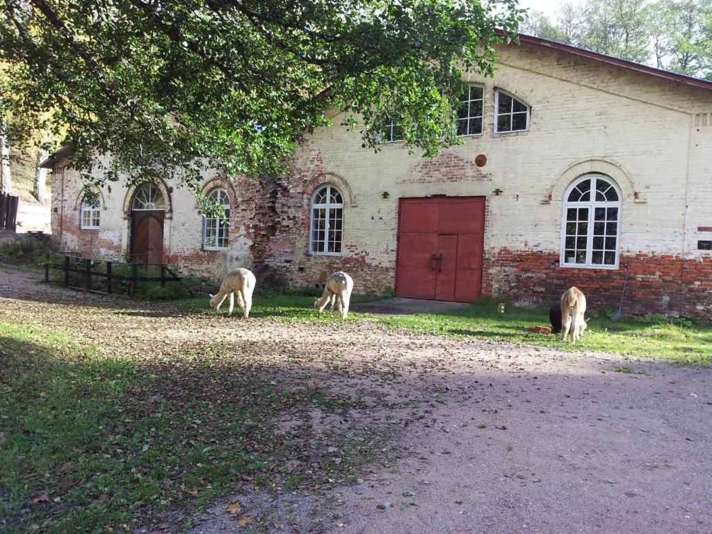 drei Pferde, die vor einem Backsteingebäude grasen in der Unterkunft Hotel Mathildedal in Matildedal