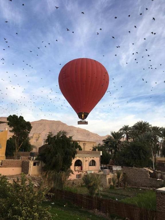 Fotografie z fotogalerie ubytování Amenophis Hotel v destinaci Luxor