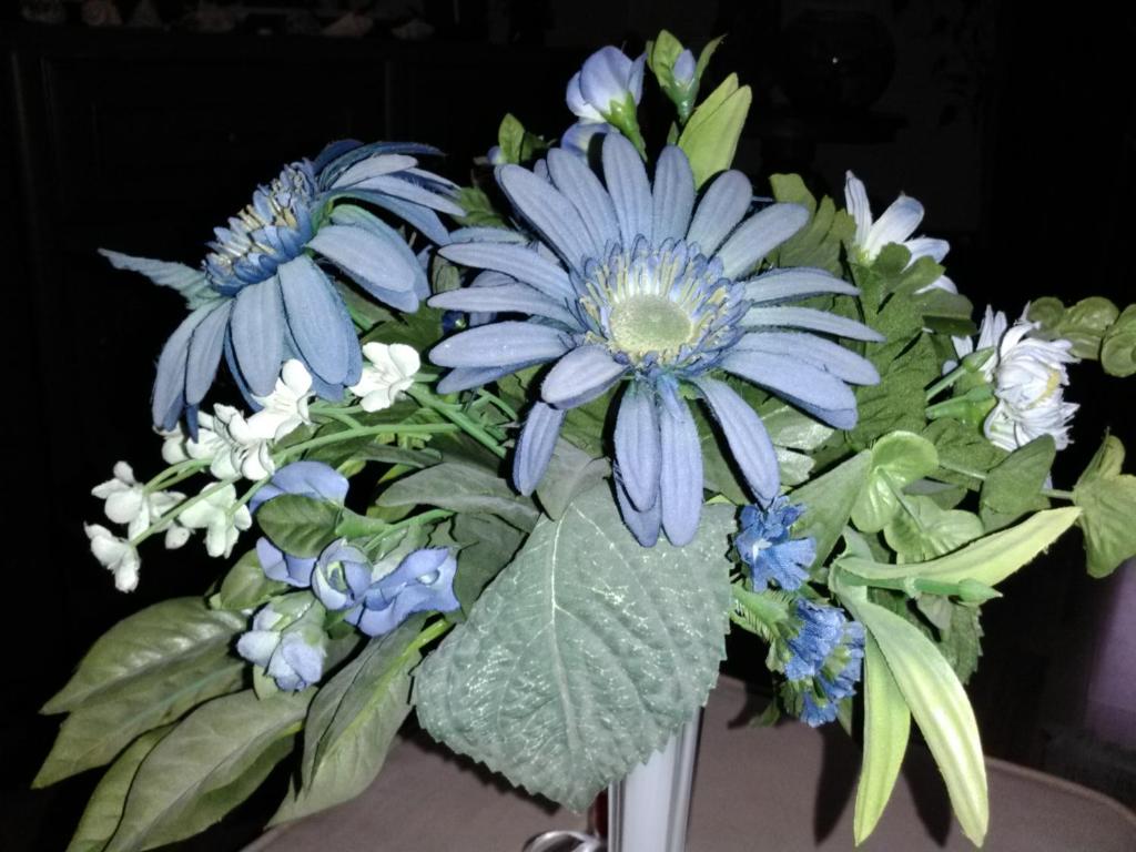 un bouquet de fleurs bleues et blanches dans un vase dans l'établissement Keti 2, à Belgrade