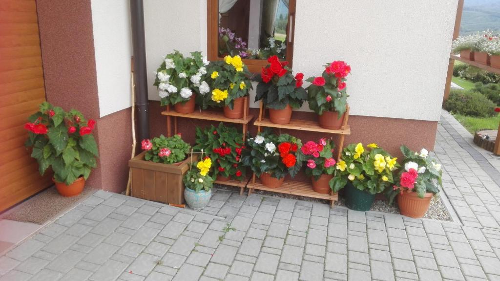 Fotografia z galérie ubytovania Pokoje Gościnne Pod Wysotą v destinácii Wysowa-Zdrój