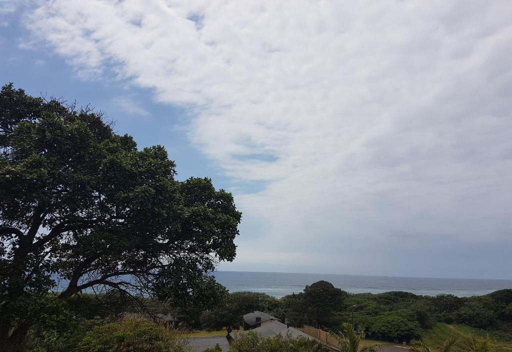 a view of the ocean from a hill with a tree at Sunrise Beach Resort in Amanzimtoti