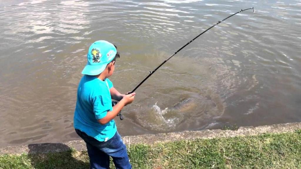  Camping e Pousada Paiol