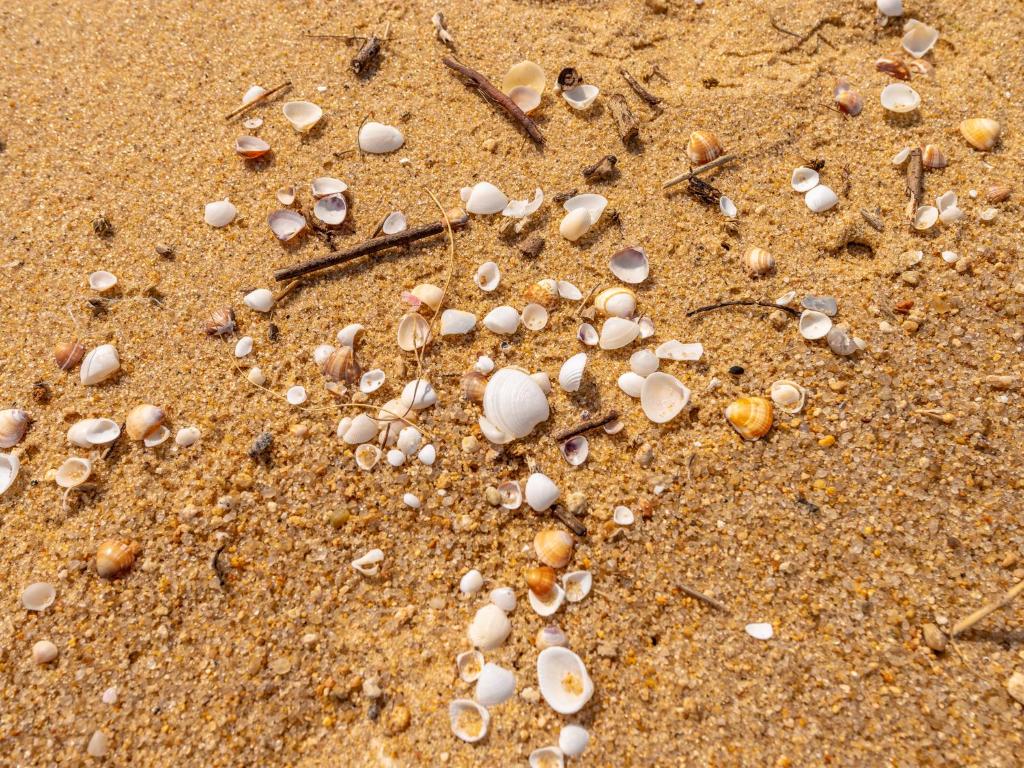  Pousada Pé Na Areia