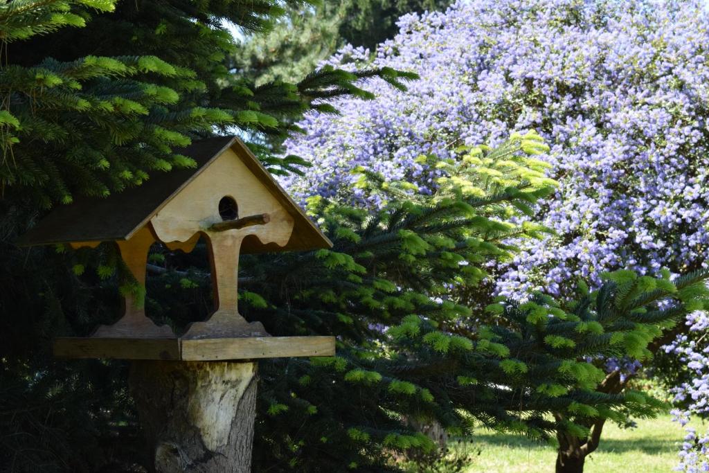 Zahrada ubytování Lodge El Sarao A Una Hora De Puerto Varas