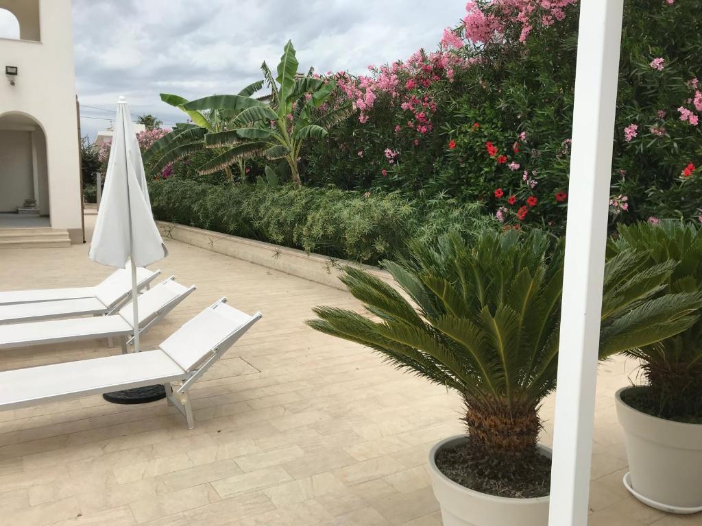 Jardín al aire libre en Archiammare Sea