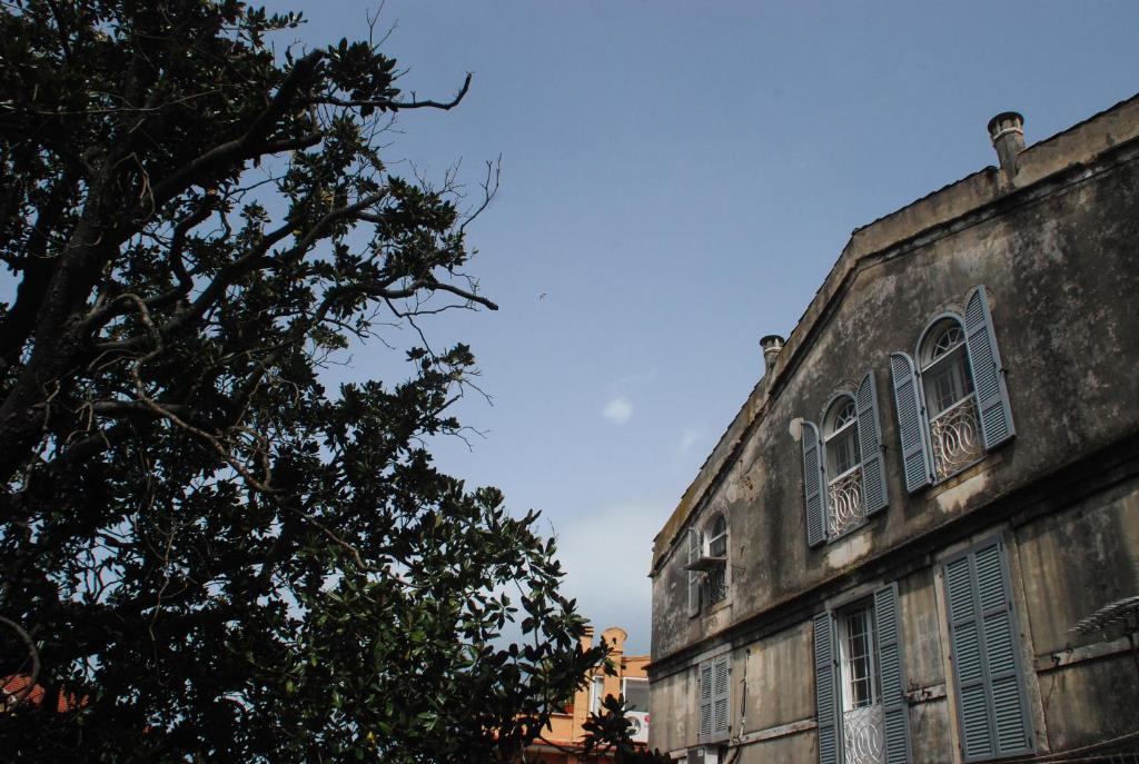 Siora Vittoria Boutique Hotel - 4