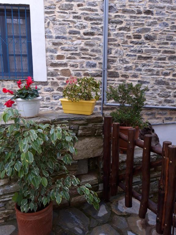Zahrada ubytování Guest House "Aspasia"