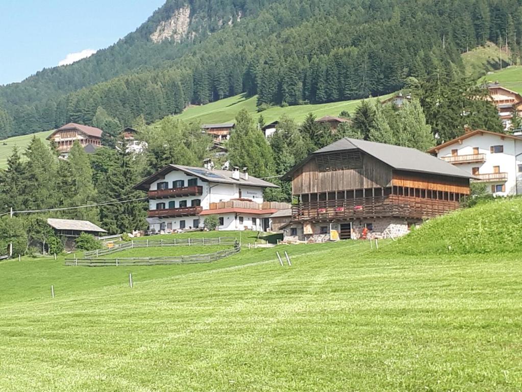 a group of buildings in a grassy field with trees at Kompatscherhof in Castelrotto