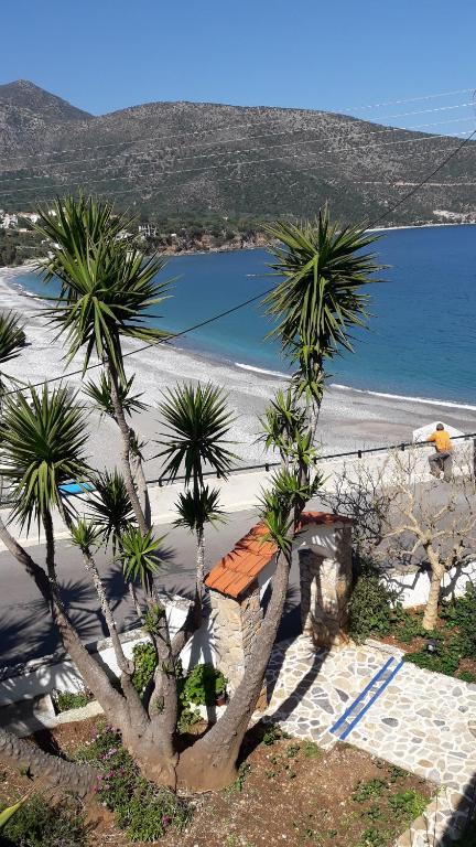 een uitzicht op een strand met palmbomen en de oceaan bij Myrtoo in Kyparíssion