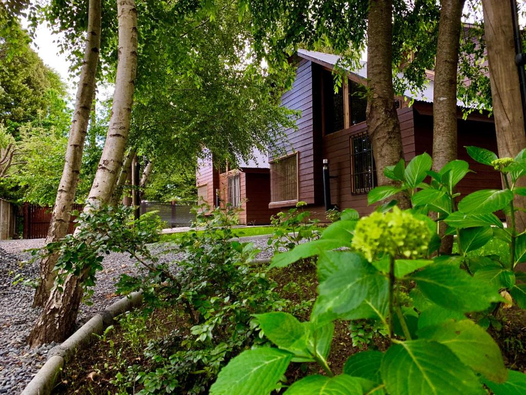 a house with a bunch of trees in front of it at Cabañas Los Laureles - Lican Ray in Licán Ray