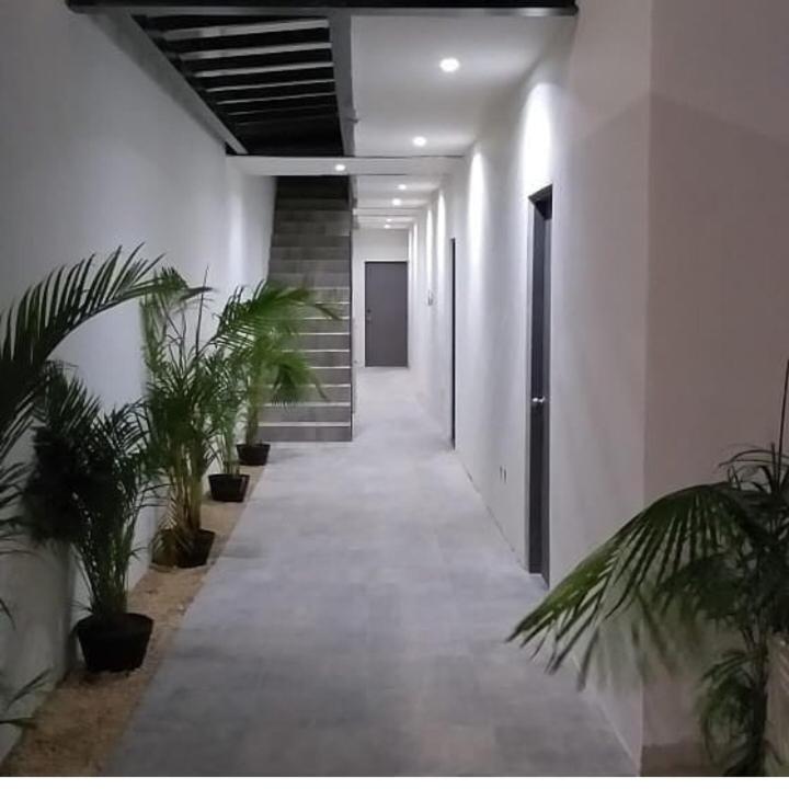 Fotografie z fotogalerie ubytování Suites and Art v destinaci Cancún