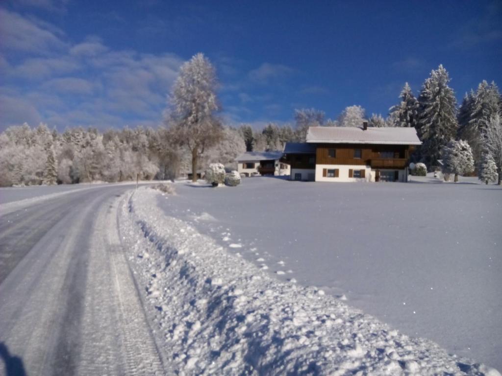 2 Raum Ferienwohnung Sonnenschein v zimě
