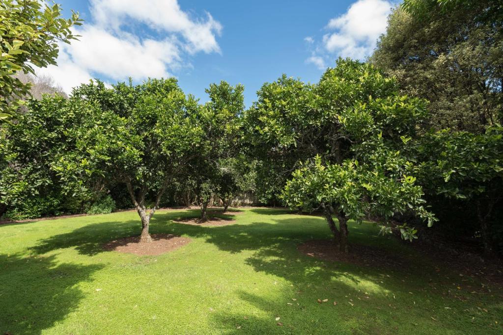 Kauri Park Motel - Resim 40