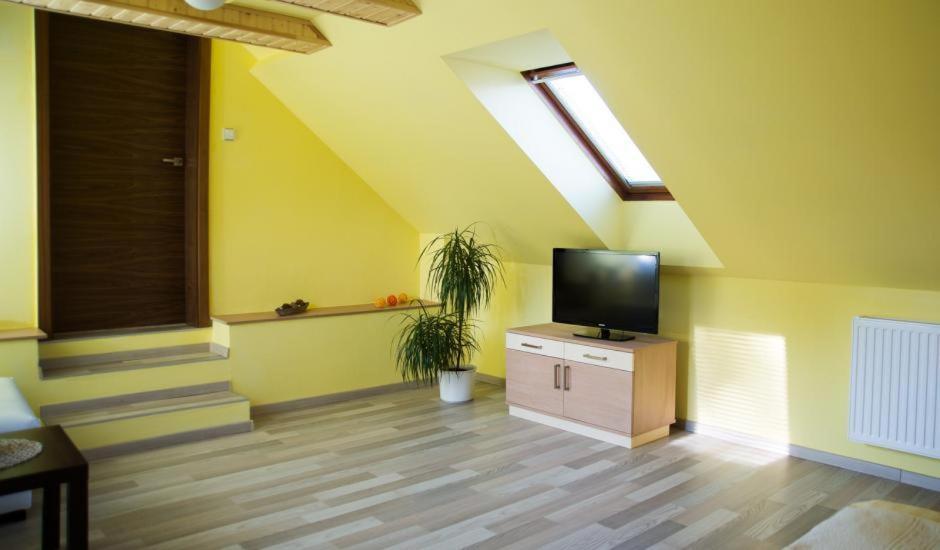 TV a/nebo společenská místnost v ubytování Penzion - Restaurace Na Mýtě
